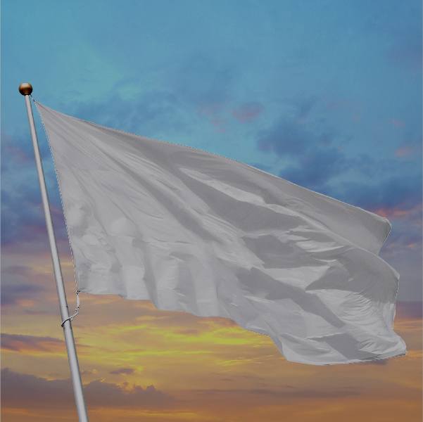 Bandera blanca: los desafíos de una tregua temporal
